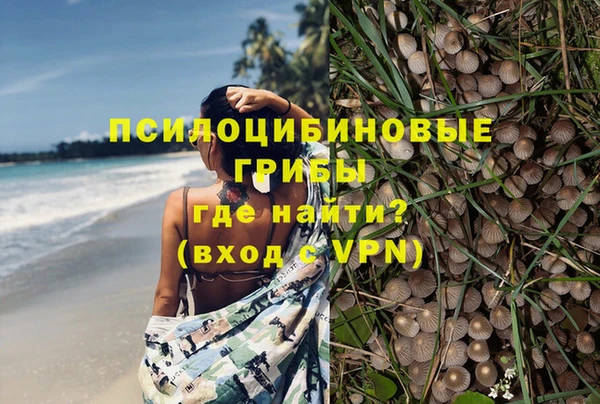 гашиш Белокуриха