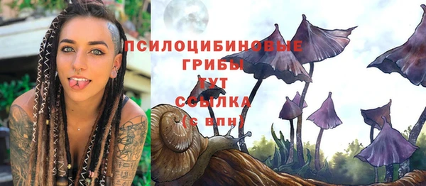 гашиш Белокуриха